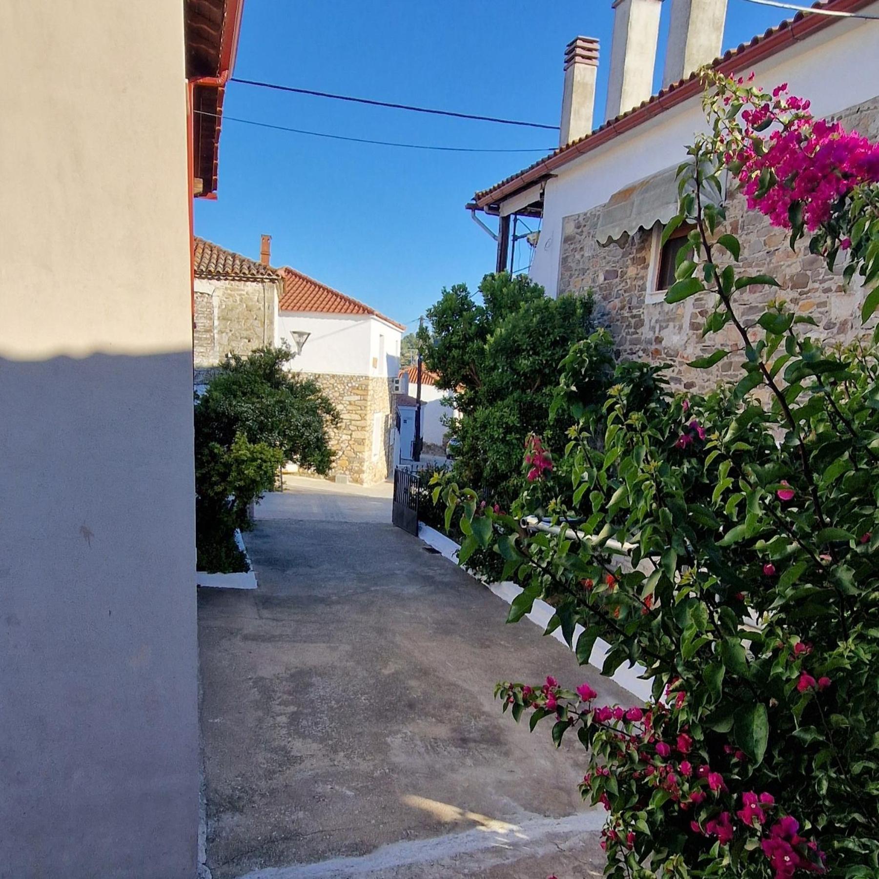 Nikolaos House Lejlighed Agios Nikolaos  Eksteriør billede