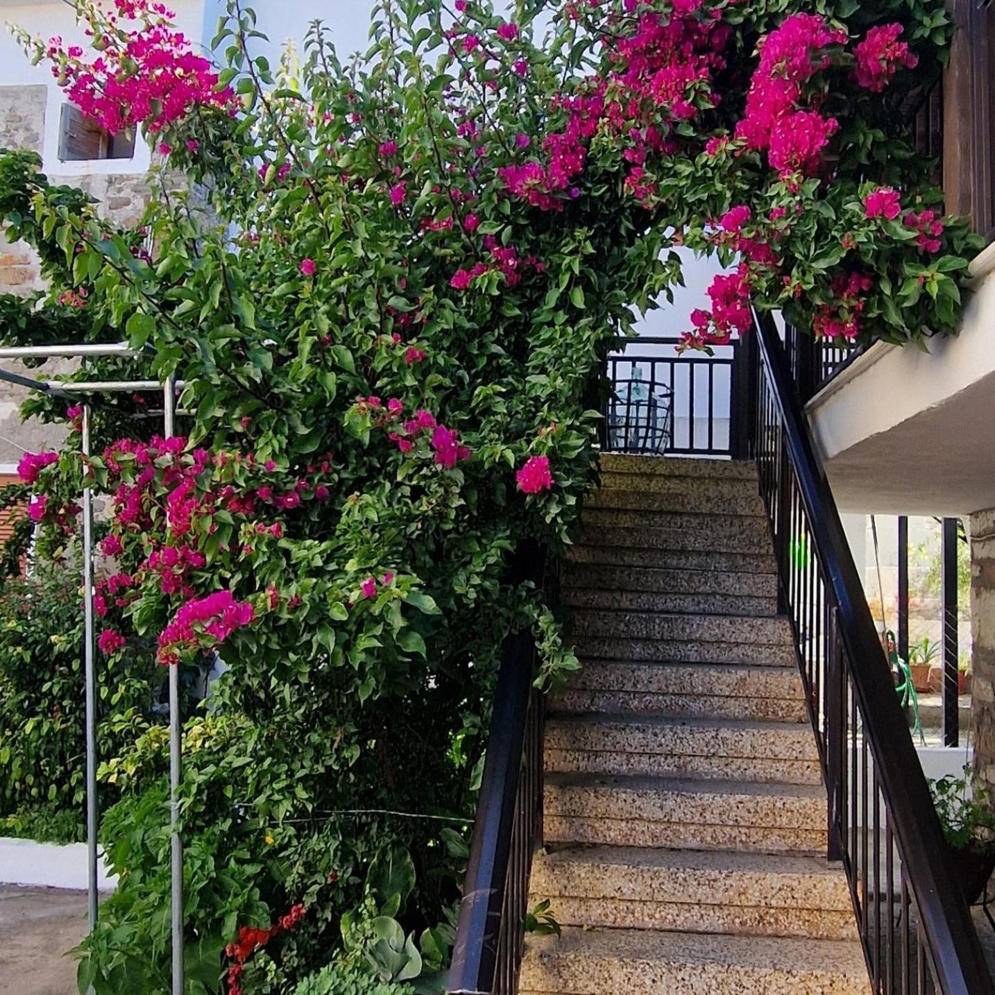 Nikolaos House Lejlighed Agios Nikolaos  Eksteriør billede