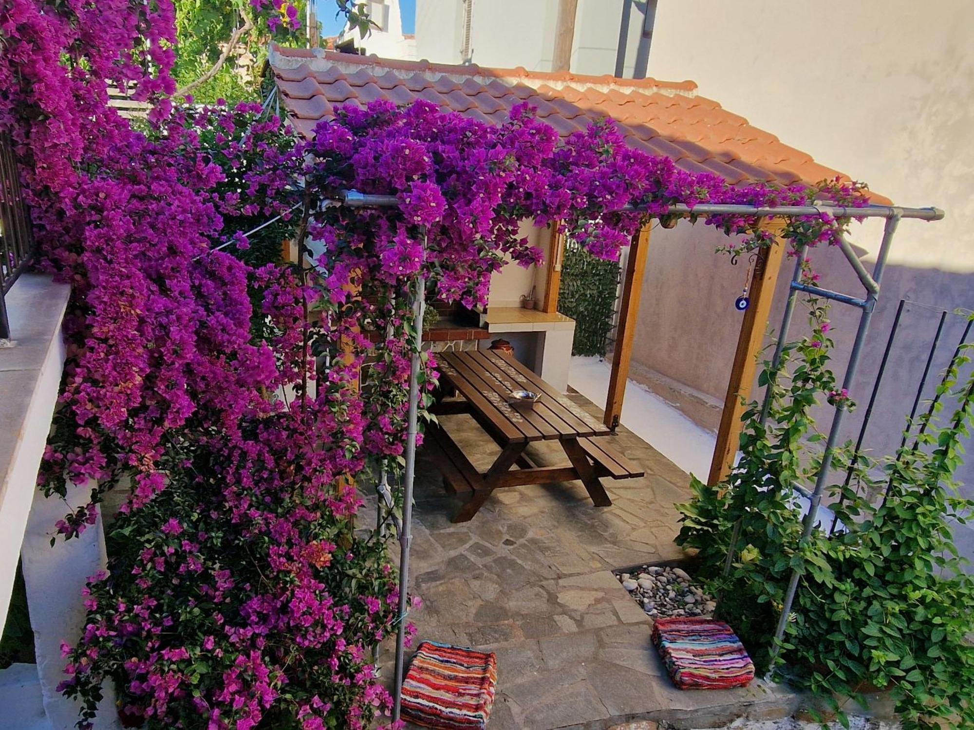 Nikolaos House Lejlighed Agios Nikolaos  Eksteriør billede